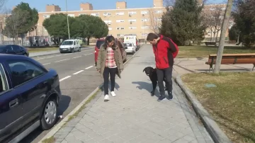 Pareja trabajando con su perro durante una sesión de adiestramiento canino en Madrid