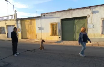 Tutor trabajando con su perro en exterior durante una sesión de educación canina en Madrid